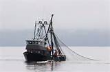 Commercial Fishing Boat Images