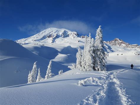 Cabin Fever Mount Rainier National Park Is Open During Winter Here