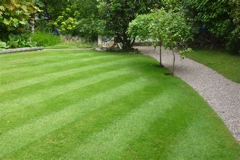 Lawn stripes - The Lawn Man