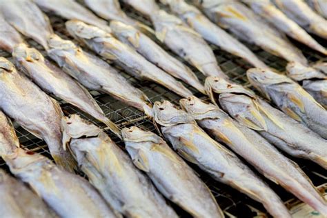 Dried Fish Stock Image Image Of Orange Prepared Hole 26764019