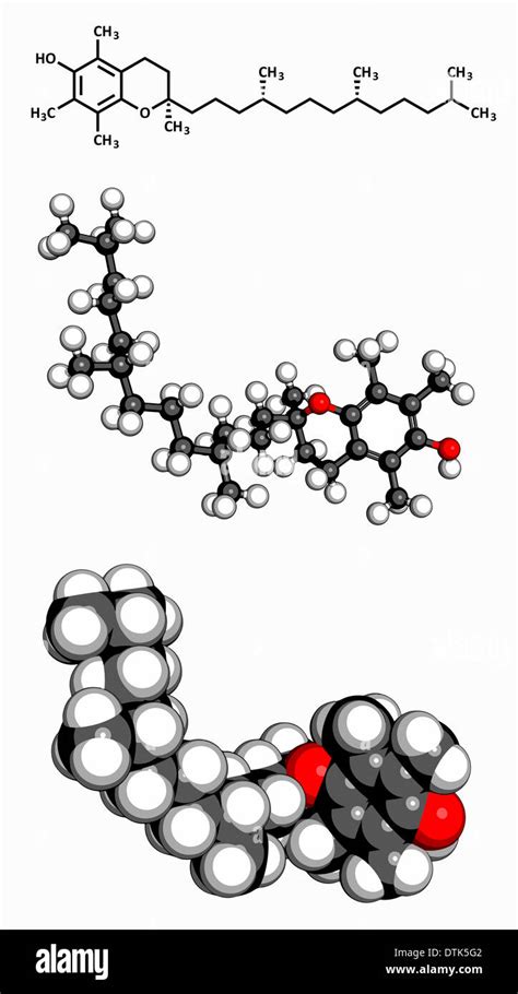 Vitamin E Alpha Tocopherol Molecule Three Representations 2d