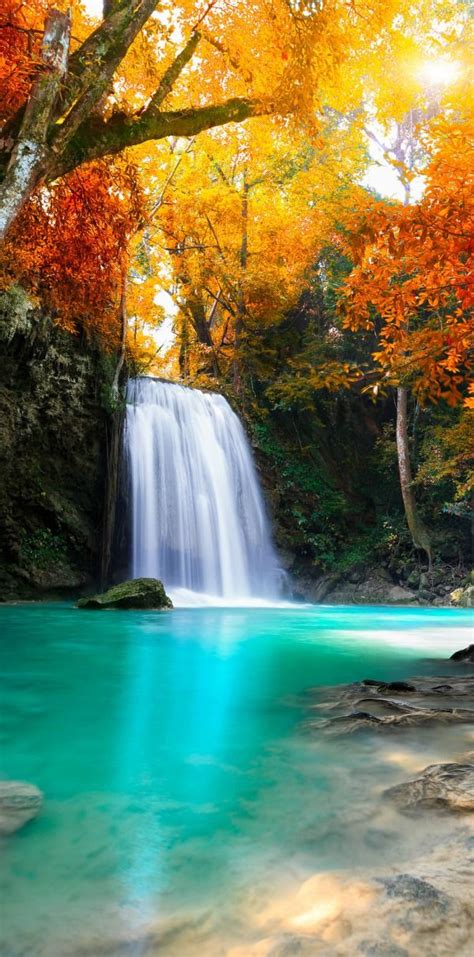 20 Most Beautiful Waterfalls On Earth Forest Waterfall Beautiful Landscapes Waterfall