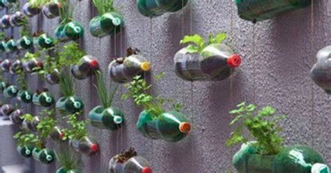 2 Liter Hanging Wall Planters To Make Pinterest Hanging Wall