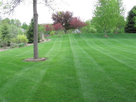 Lawn Mowing Services | Green Meadows Inc.