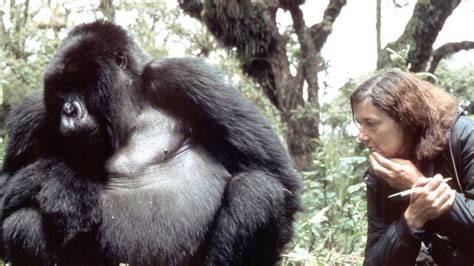 Dian (given name), a list. Dian Fossey Profile | Presenters | Eden Channel