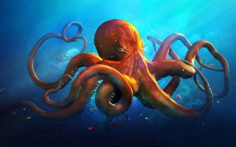 Hd Wallpaper Slouching Octopus Hd Brown Octopus Creative Graphics