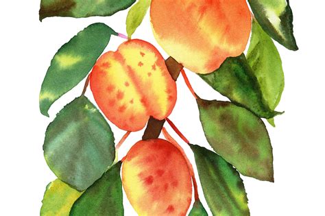 Peach Watercolor Print Etsy