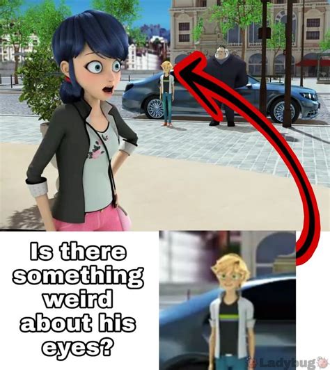 Is There Something Weird About His Eyes Miraculous Ladybug Funny