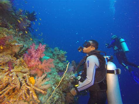 Scuba Diving The Rainbow Reef Paul Jelley Geo Diver Fiji