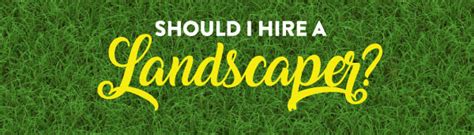 Infographic Should I Hire A Landscaper What To Look Out For