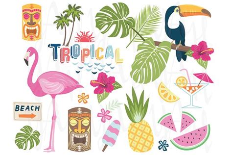 tropical vector collection custom designed illustrations ~ creative market