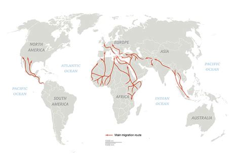 The Worlds Congested Human Migration Routes In 5 Maps Iom Blog