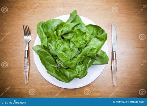 Fresh Green Lettuce On Plate Picture Image 18440670