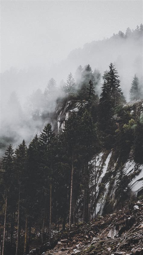 Download Wallpaper 1350x2400 Mountain Trees Fog Clouds Slope Iphone
