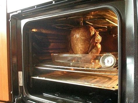 I chose this receipe simply because i had a whole chicken, not a lot of time, and needed to cook it. How to Cook an Oven-Roasted Beer Can Chicken | Recipe in ...