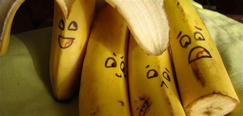 Gmo Bananas Key To Malnutrition Borgen