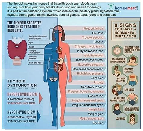 Pin On Health Thyroid R