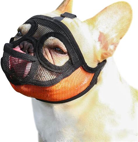 The 6 Best Dog Muzzles Australia Tested And Evaluated 2024