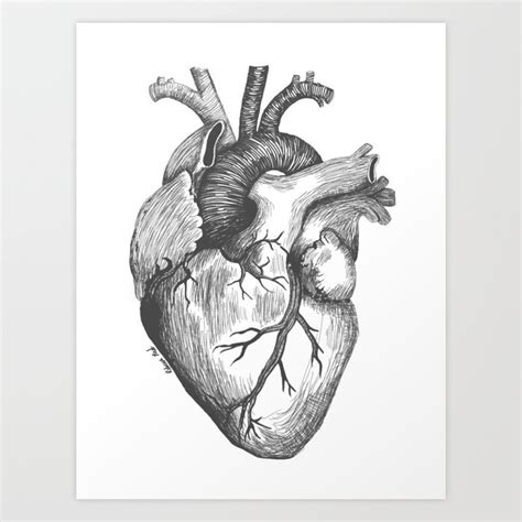 Anatomical Heart Art Print By Rebeccajoannemo Society6
