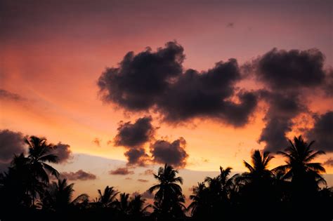 De natuurlijke schoonheid van sri lanka, de tropische bossen, stranden en landschap, evenals zijn rijke culturele erfgoed en historie, maken het een wereldberoemde toeristische bestemming. REISJUNK / Dit zijn de 5 mooiste stranden van Sri Lanka