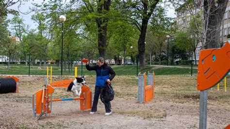 Abre Sus Puertas La Zona De Esparcimiento Canino Del Parque Tío Jorge