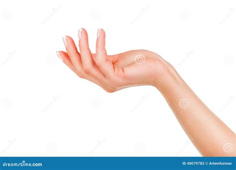 Woman S Hand Stock Photo Image Of Finger Adult Beautiful 40079782