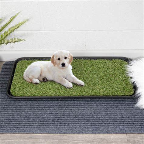 Ottomanson Indooroutdoor Grass Pee Pad Potty Pet Puppy And Dog