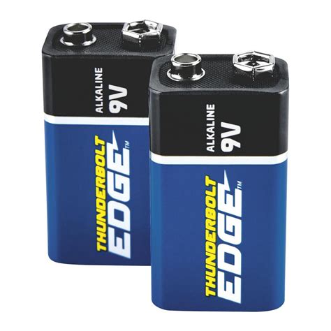 9V Alkaline Batteries 2 Pk