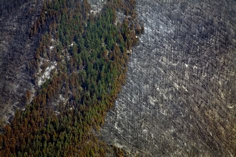 Photos Of A Changing World Forest Fires In British Columbia Pacific