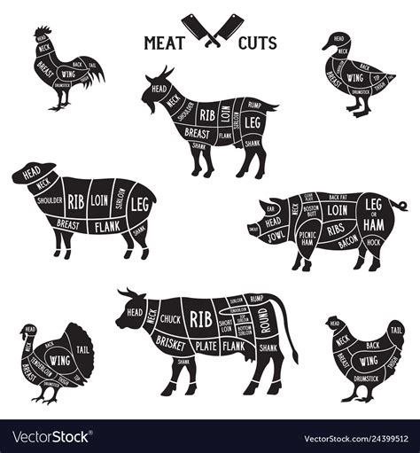 Meat Cuts Set Diagrams For Butcher Shop Scheme Vector Image