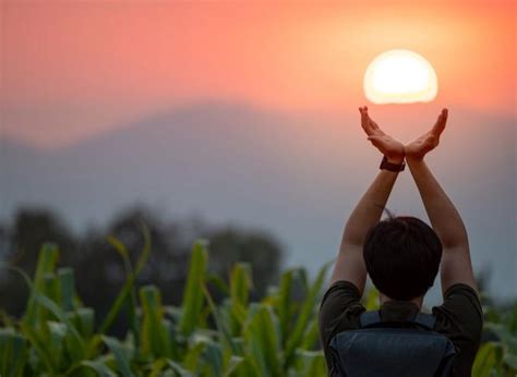Il solstizio d'estate cade sabato 20 giugno 2020 alle 23:43 ora italiana. Solstizio d'estate, oggi 20 giugno 2020: il significato e ...