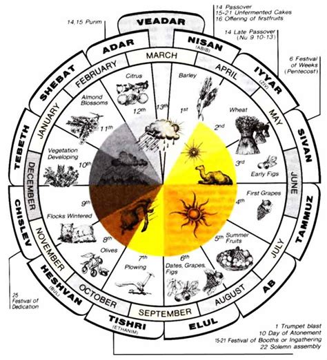 The Days Of The Week And The Months In The Bible “he Shall Be Called