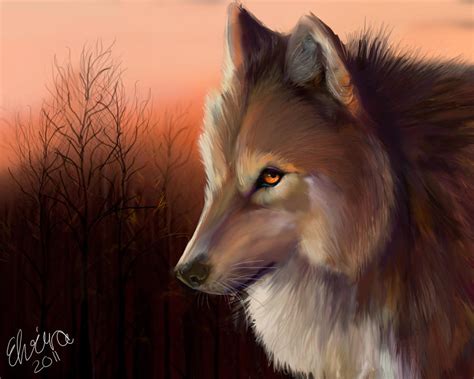 Wolf In The Sunrise By Neovirah On Deviantart