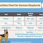 German Shepherd Diet Chart
