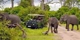 South African Safari Vacation Packages Pictures