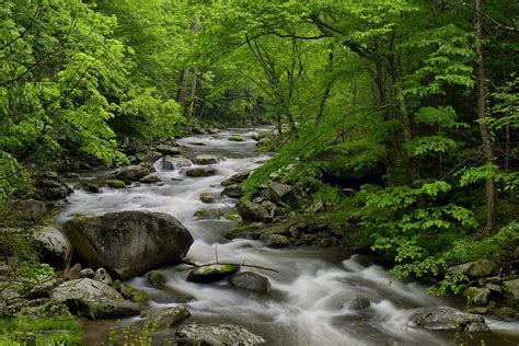 Summer Stream In Great Smoky Mountains Photograph By Darrell Young