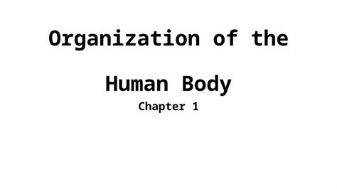 Pptx Organization Of The Human Body Chapter 1 Anatomy And Physiology