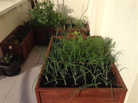 A vida em um dia. Um dia na Horta | Horta, Vida feliz