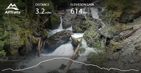 Maybe you would like to learn more about one of these? Dosewallips State Park Trail - Washington | AllTrails.com
