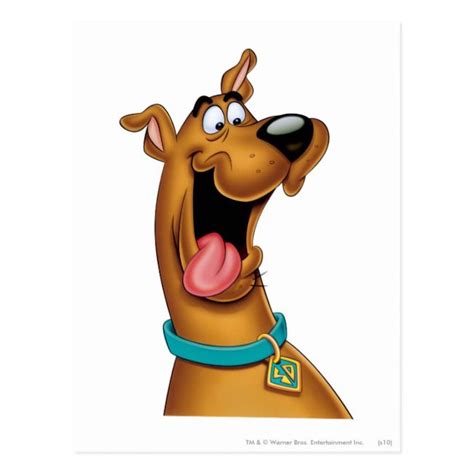 Scooby Doo Excited Face Postcard Excited Face Scooby Doo Cute Cartoon Pictures