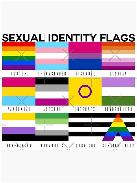 Sexual Identity Pride Flags Lgbtq Pride Month Poster By Priscimissy