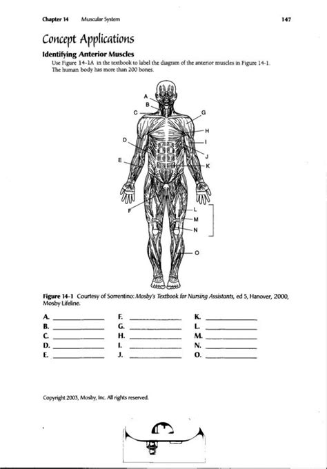 Free Anatomy Worksheets Printable Anatomy Worksheets
