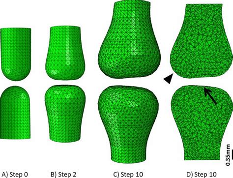 Joint Morphogenesis Prediction When A Single Plane Motion From 45° To