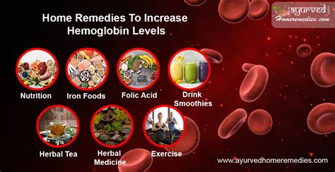 Foods To Increase Hemoglobin Levels Naturally How To Increase