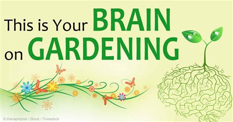 Gardening Impacts Brain Health Considerably