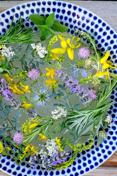Ricetta per preparare l'acqua profumata: L'Acqua di San Giovanni e il Solstizio d'Estate | GranoSalis