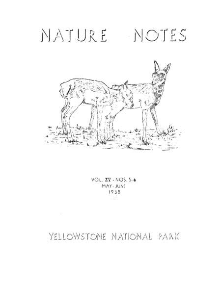 Yellowstone National Park Nature Notes