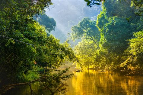 Comment Préparer Un Voyage En Amazonie Au Brésil Voyage Brésil