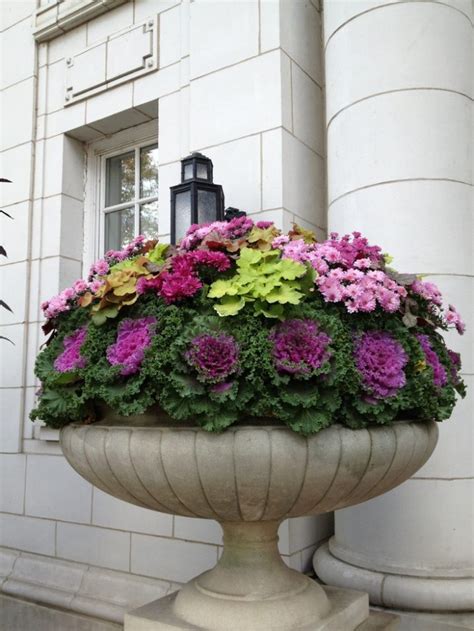Impressive Ornamental Cabbage Decorations To Beautify Your