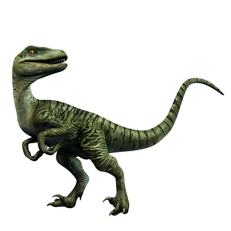 Jurassic World Raptor Png